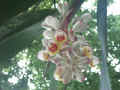 03528038.JPG (98526 Ӧ줸)