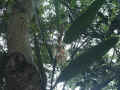 03528039.JPG (125751 Ӧ줸)